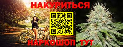 шишки Таганрог