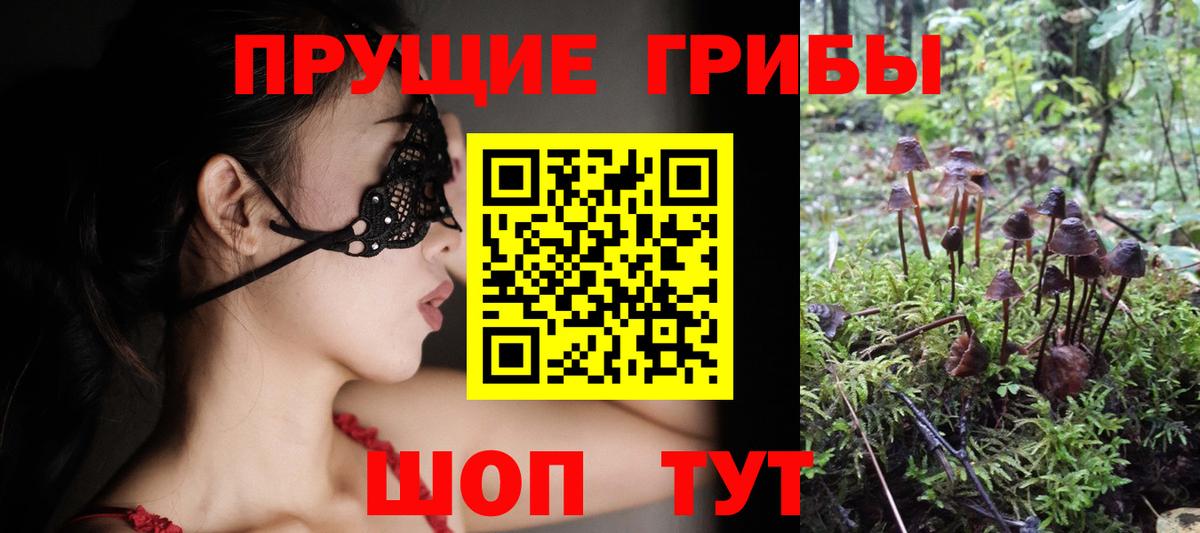 Галлюциногенные грибы ЛСД Белово