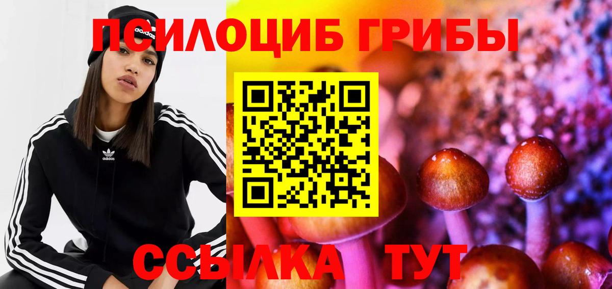 Галлюциногенные грибы ЛСД  Вход с VPN  Псилоцибиновые грибы MAGIC MUSHROOMS  Белово 