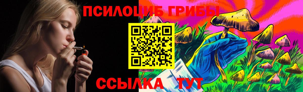 Псилоцибиновые грибы Psilocybine cubensis Белово
