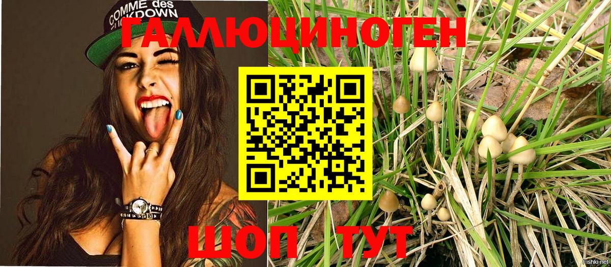 Псилоцибиновые грибы ЛСД  Белово 